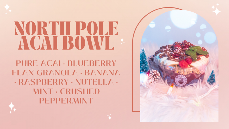 north pole acai bowl photo
